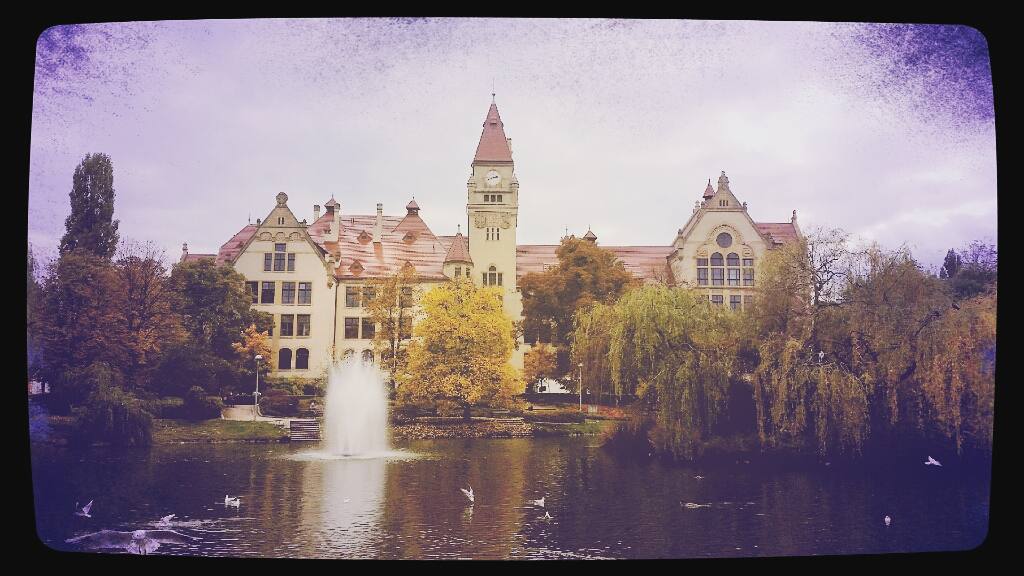 Park Stanisława Tolpy #wroclaw #wroclove #park #jesien #staw #lubiewrocław #wrocławmojemiasto #jesiennyspacer