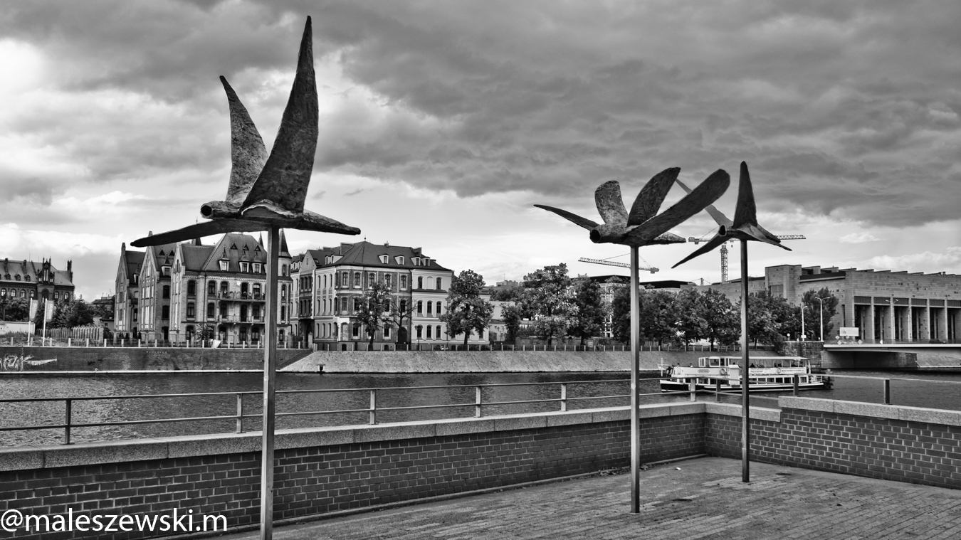 #OLYMPUS #DIGITAL #CAMERA #ODRA #WROCŁAW #WROCLAW #WROCLOVE #RIVER  #POLAND #CLOUDS #BULWAR #XAWEREGO #DUNIKOWSKIEGO #PTAKI